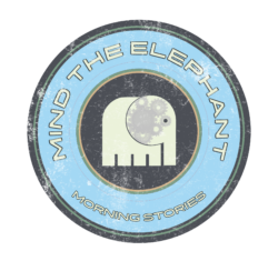 Logo MtE MS